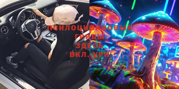 дживик Приозерск