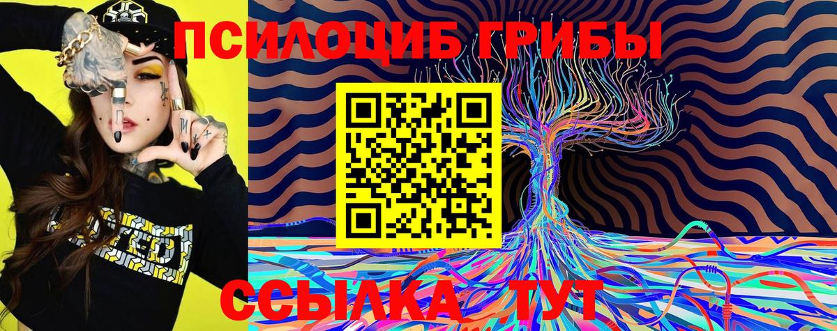 Лесозаводск  Псилоцибиновые грибы Magic Shrooms  Вход с VPN 